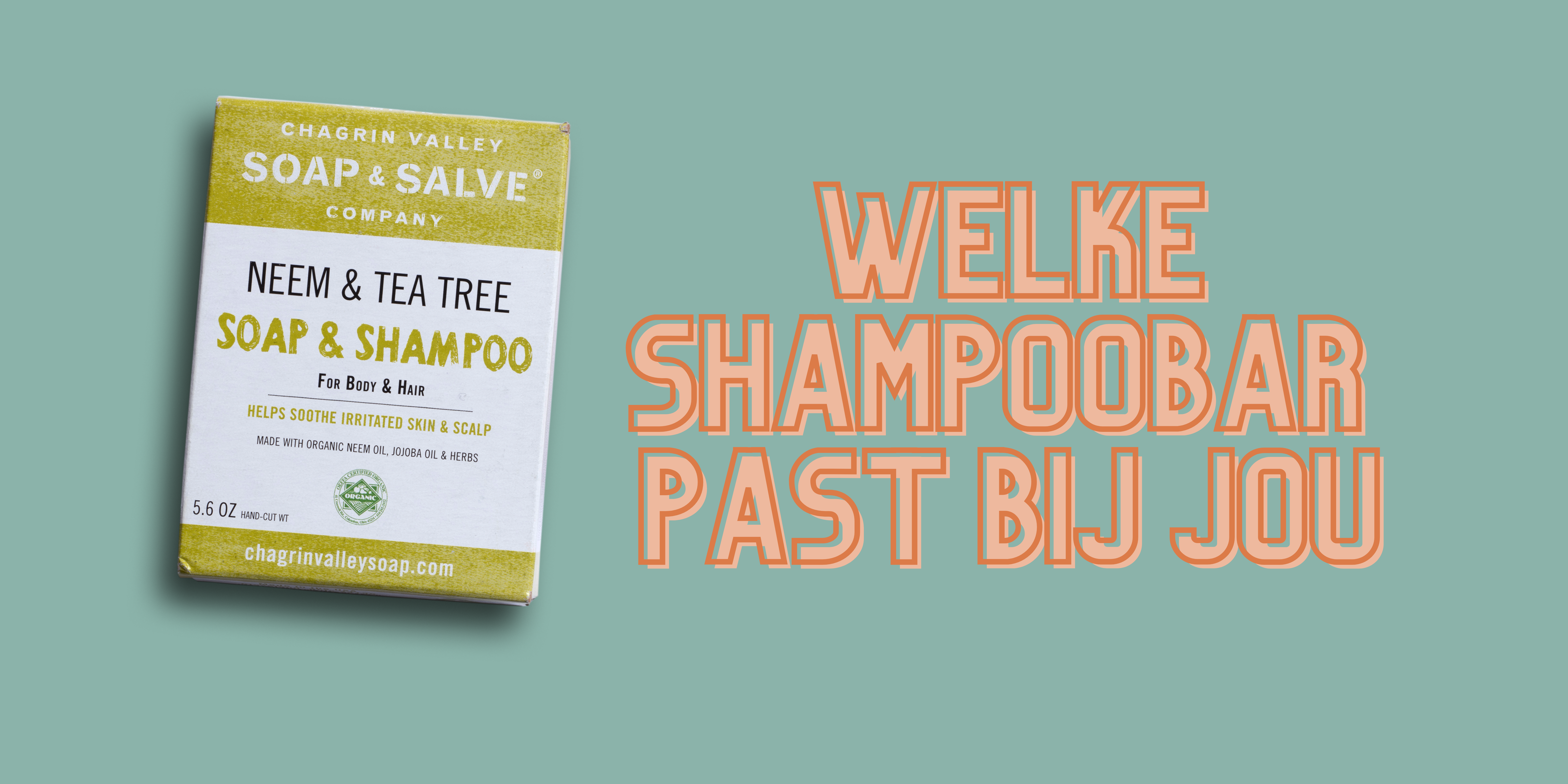 Lees meer over het artikel Uitgebreide Basecamp shampoobar review – Welke shampoo bar past bij jou?