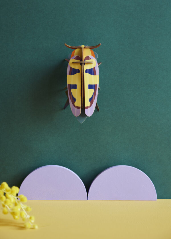 Studio Roof Mango Flower Beetle