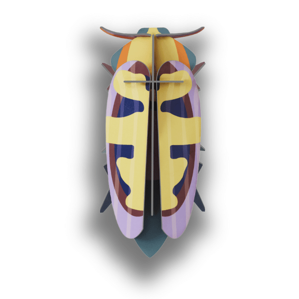 Studio Roof Mango Flower Beetle